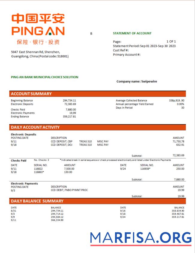 Blank Ping An Bank firm checking account statement Word and PDF template